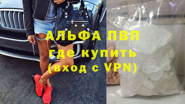 сатива Алзамай