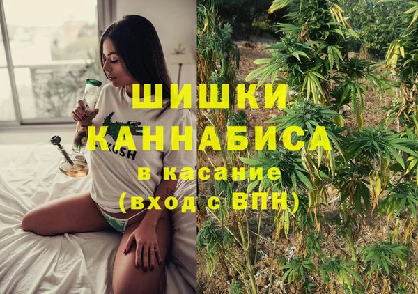 сатива Алзамай
